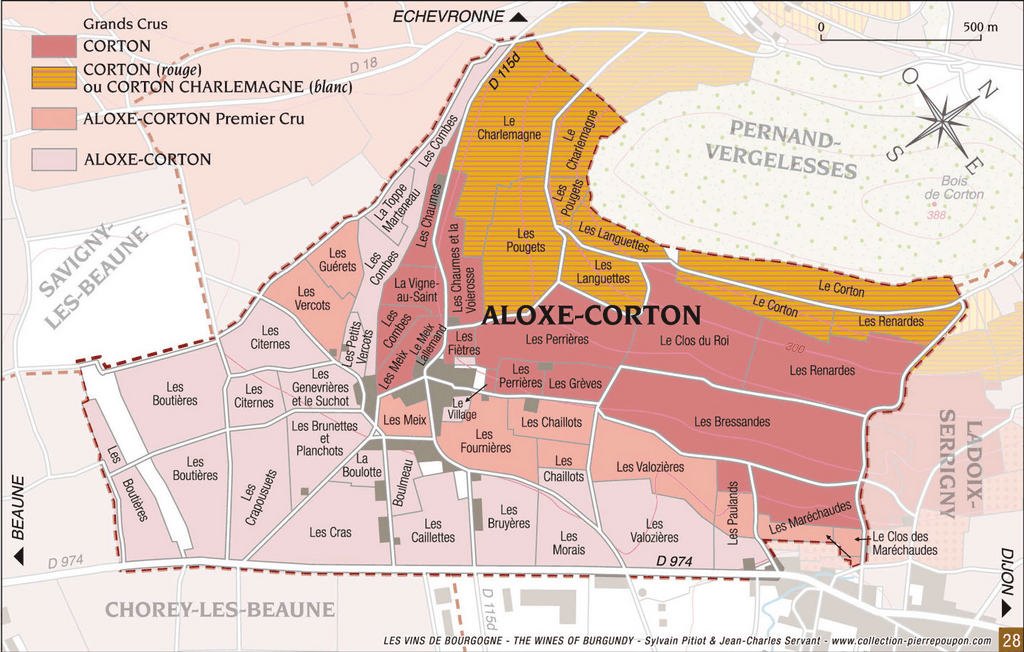 Bergman's Bourgogne: Interview with Arnaud Dubreuil at Domaine Philippe &  Arnaud Dubreuil – Savigny-lès-Beaune